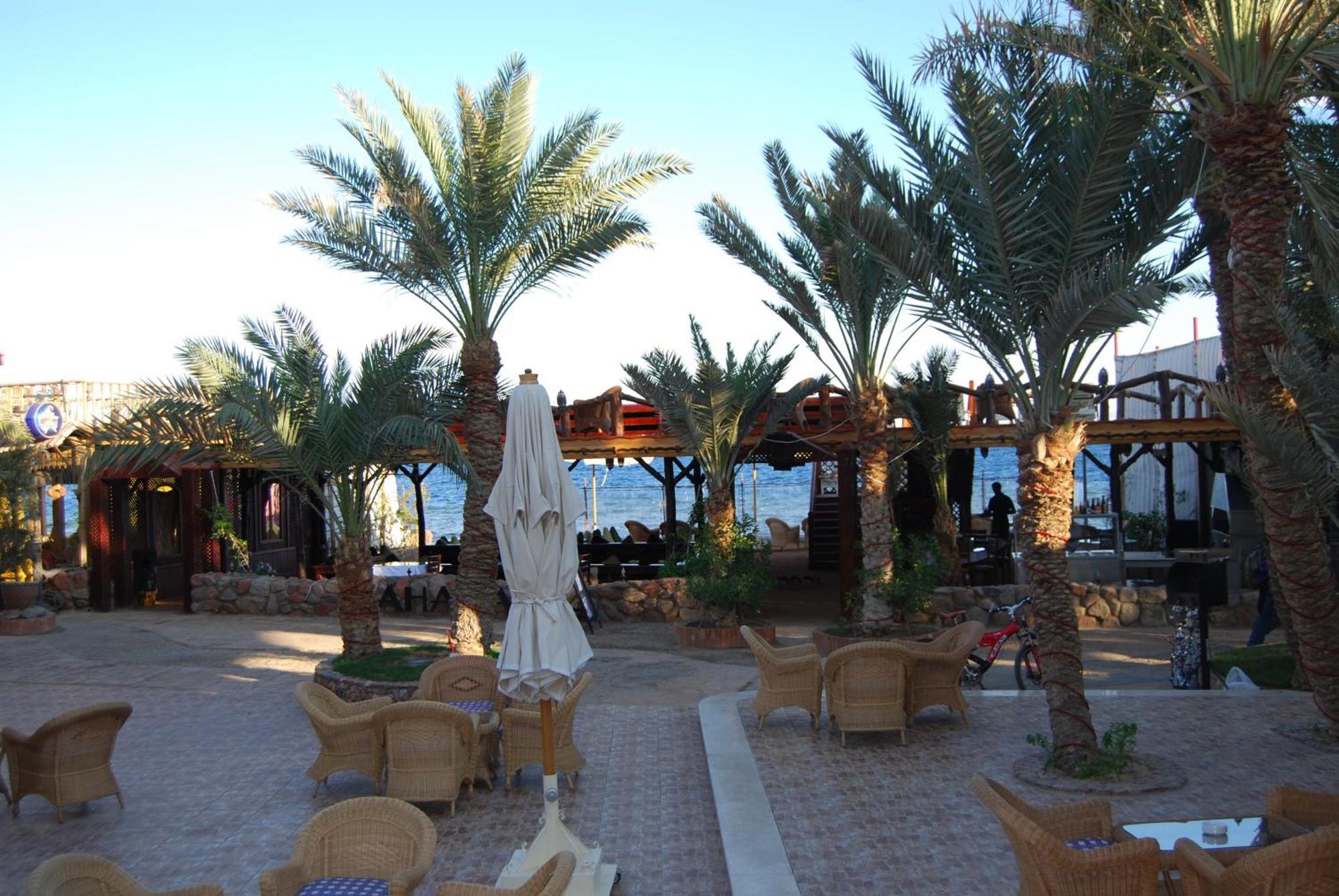 Acacia Dahab Hotel Exterior photo